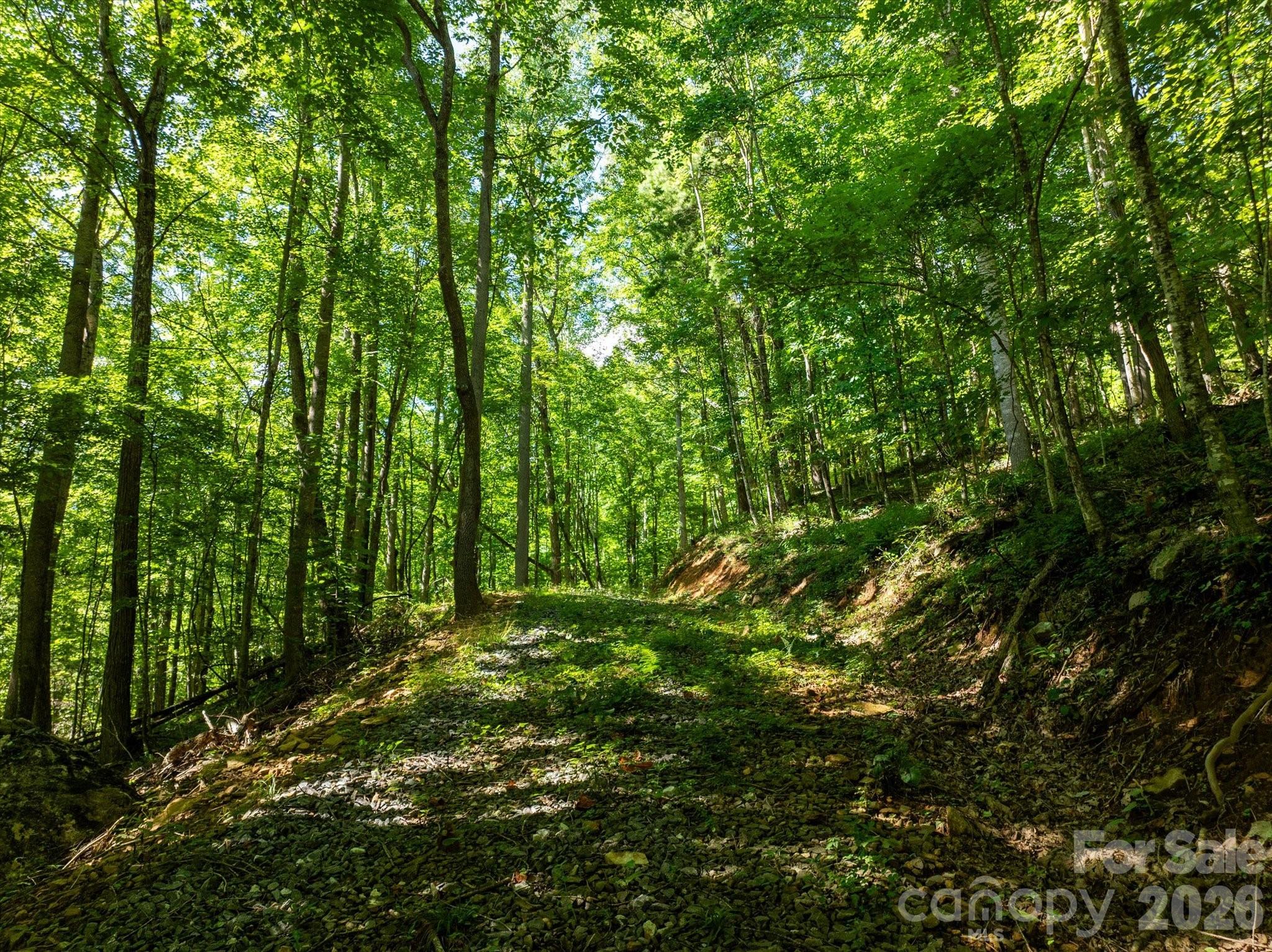 99999 Patsy Creek Road
