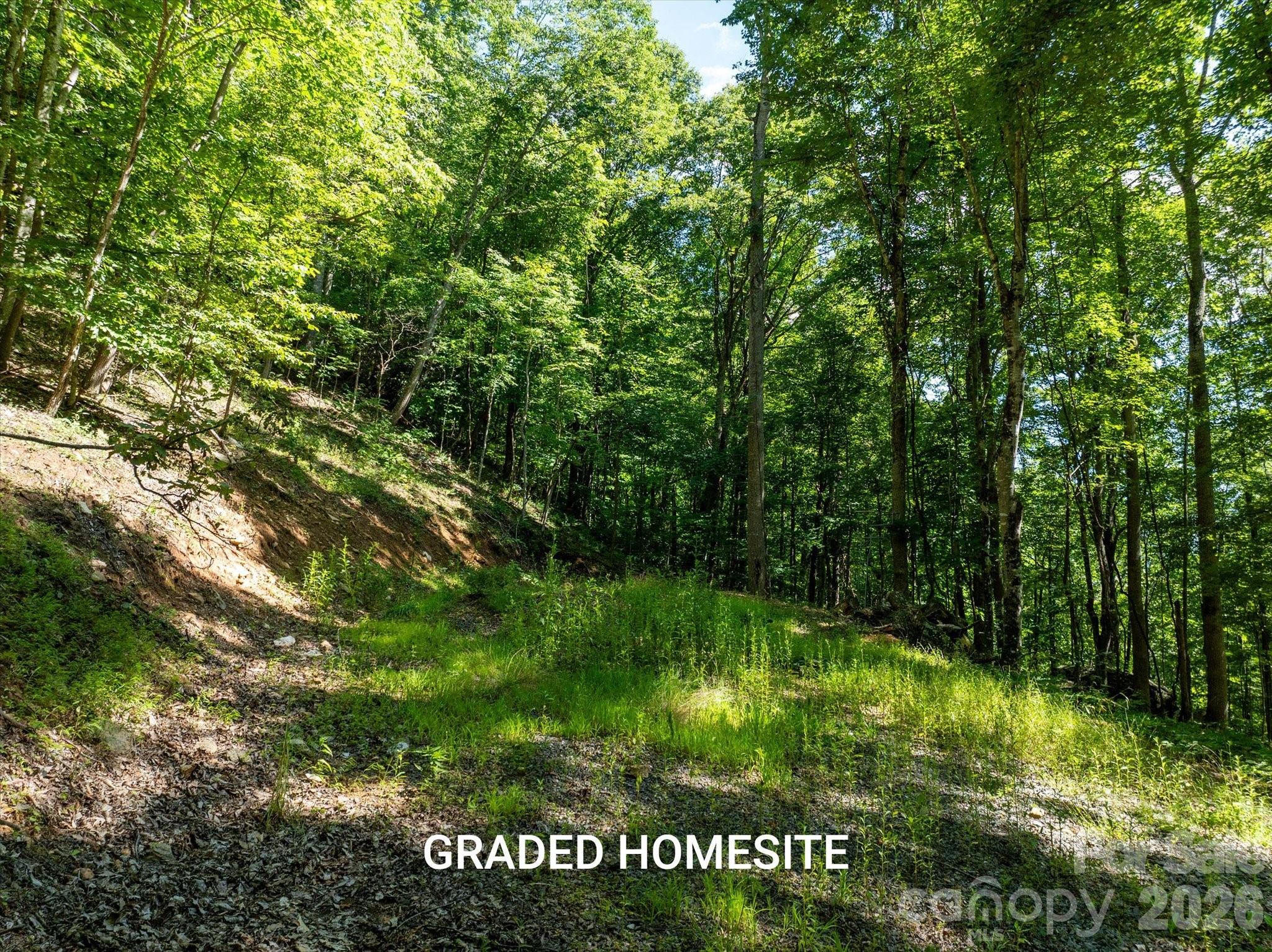 99999 Patsy Creek Road