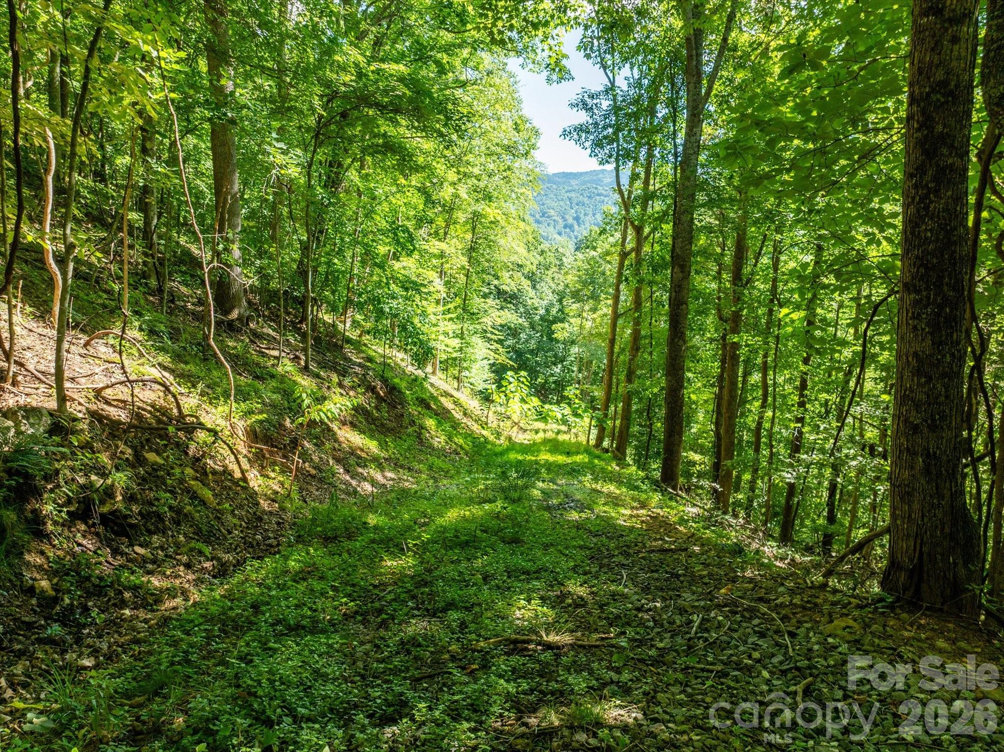 99999 Patsy Creek Road