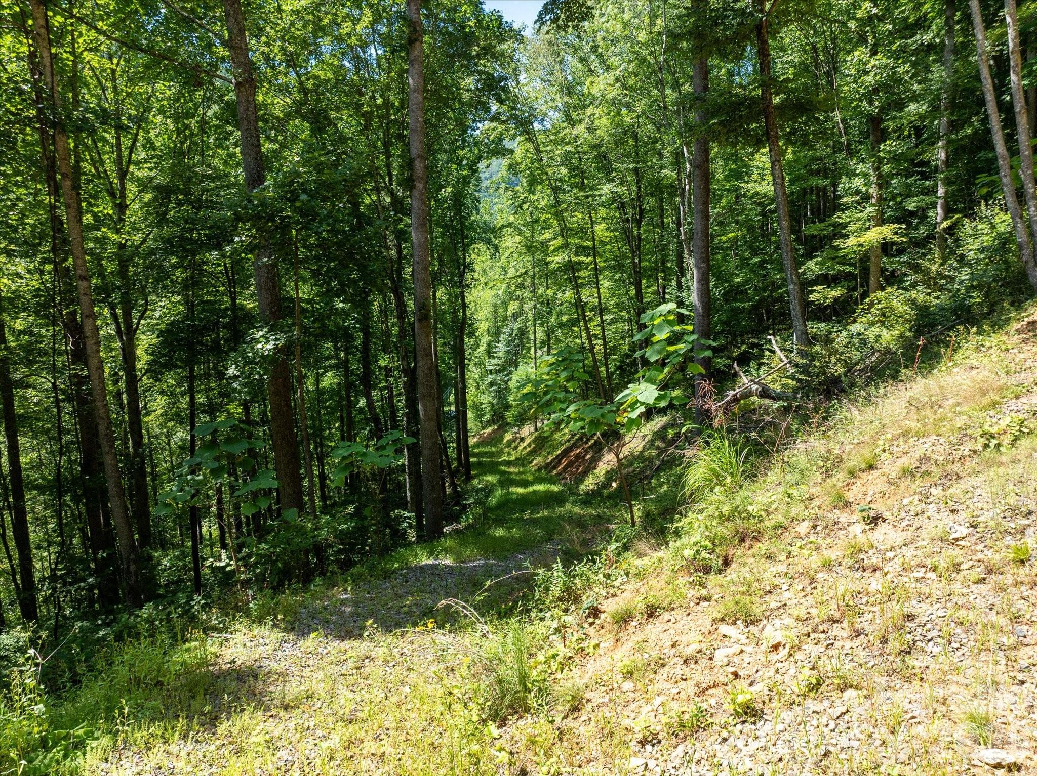 99999 Patsy Creek Road