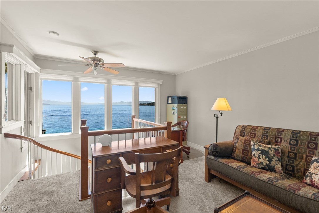 501 Lakeshore Boulevard 15