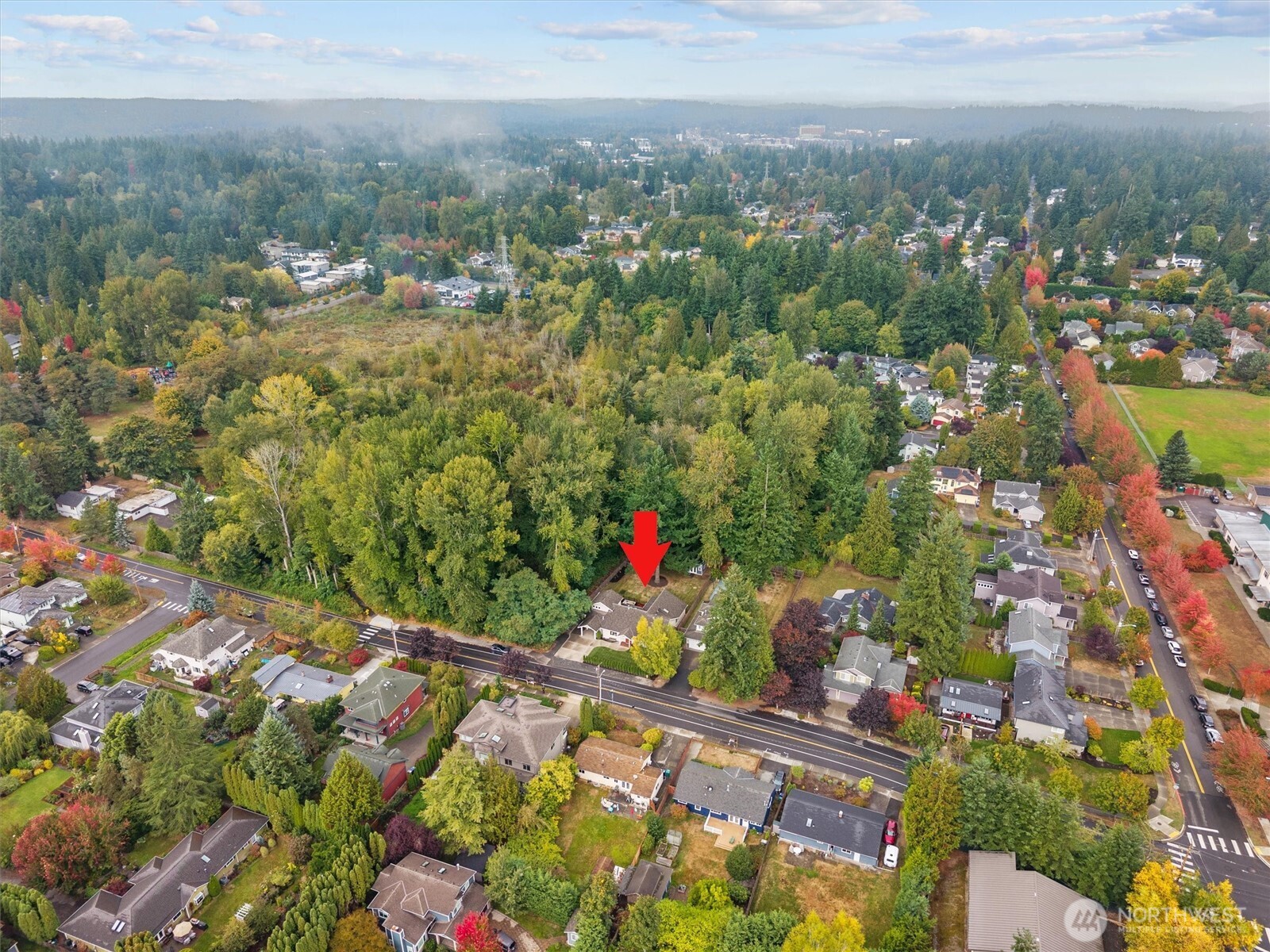 12634 NE 95th Street