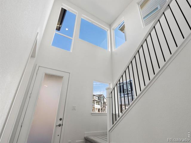 928 Farrier Lane
