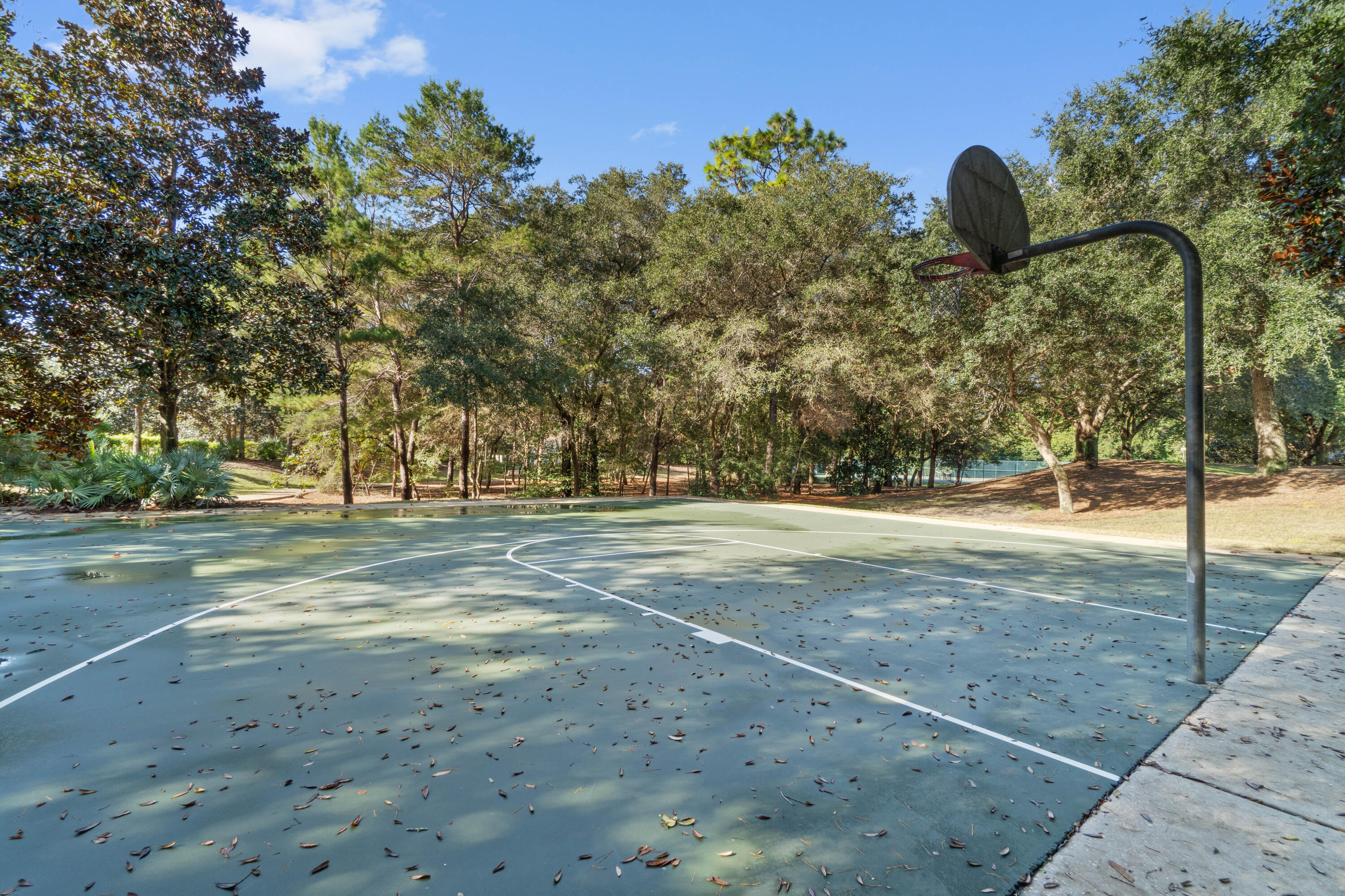 4002 Sugarcane Creek Run