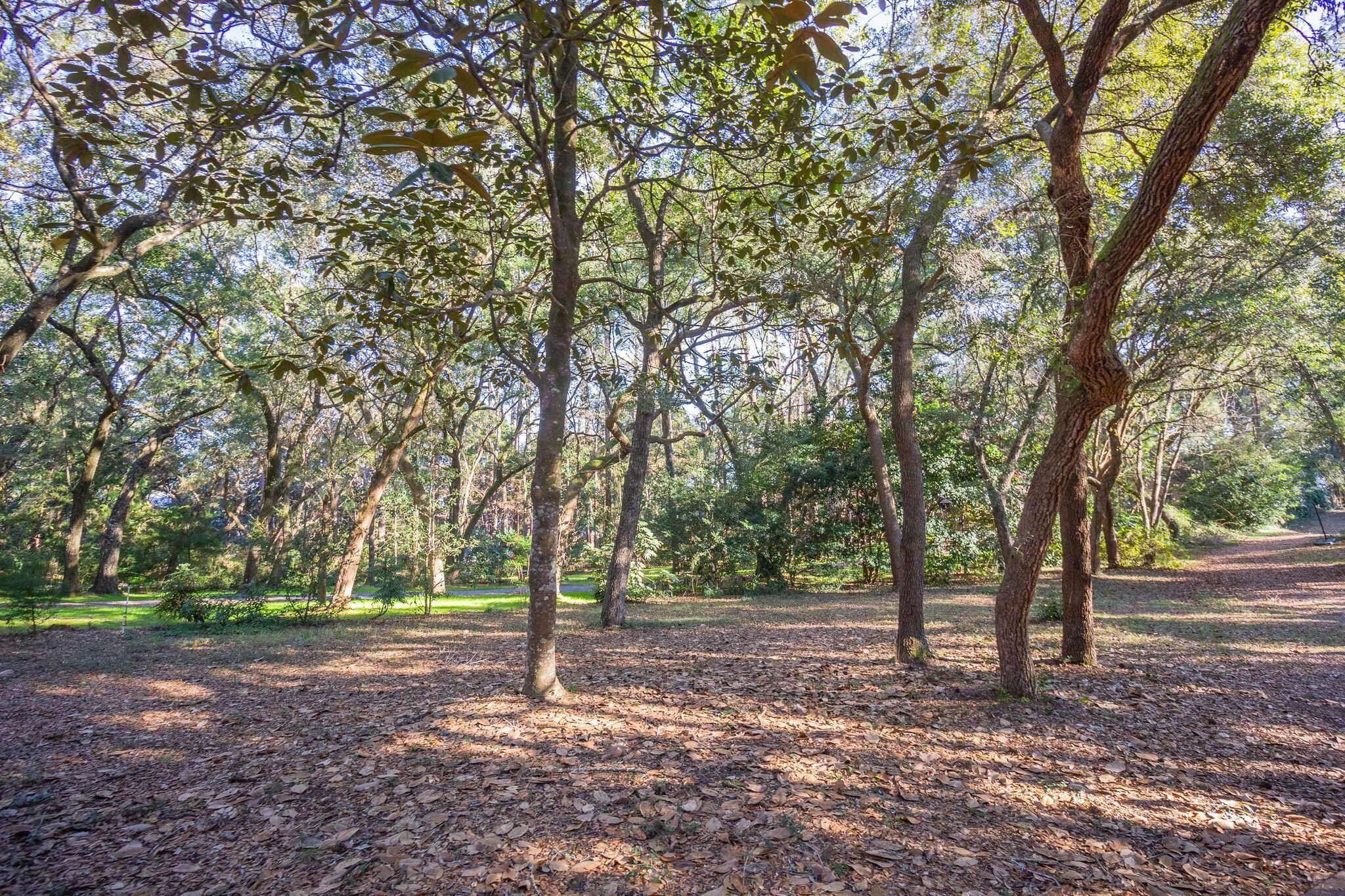 2806 Edgewater Drive