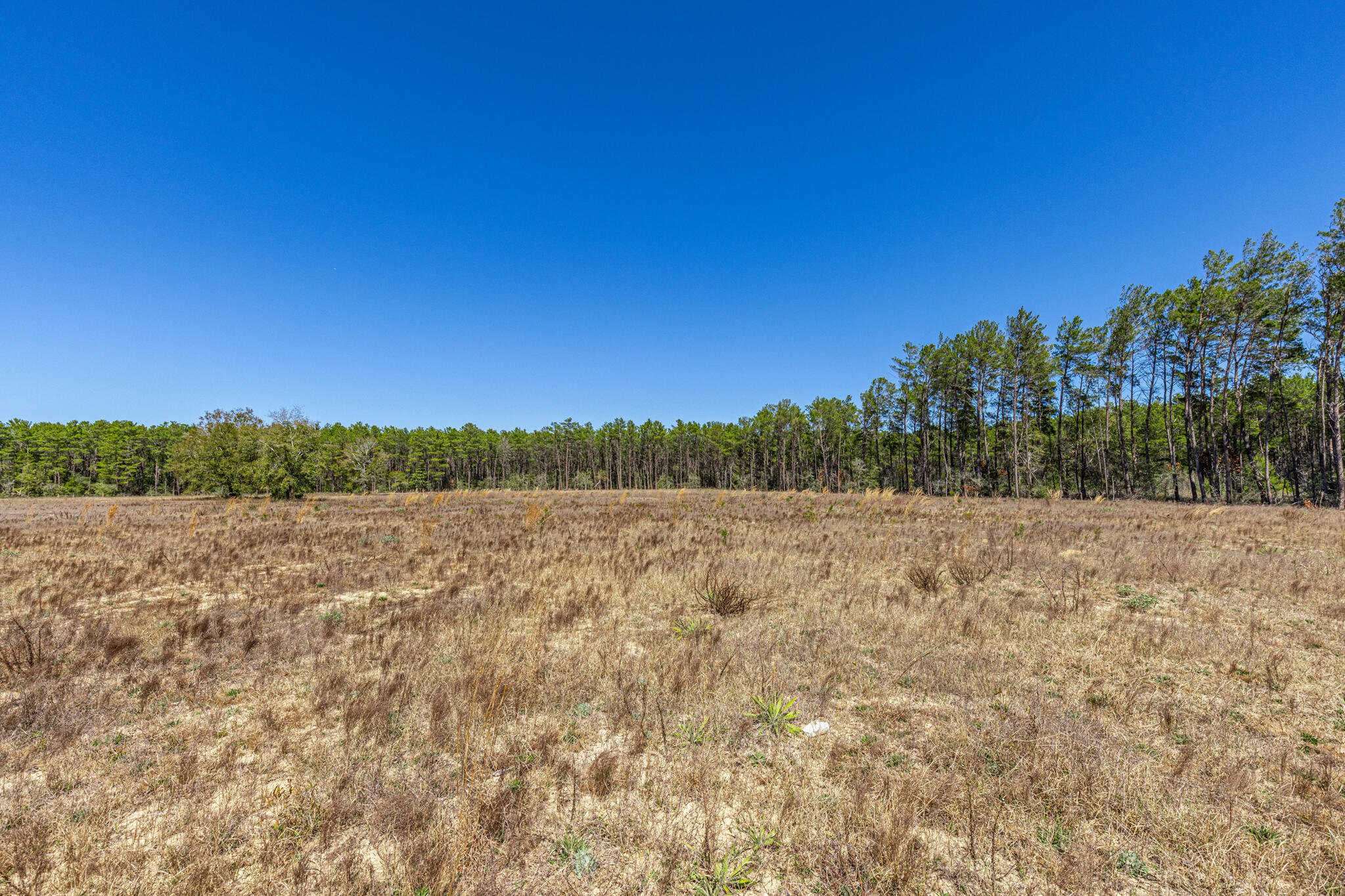 6.74 Acres Highway 90