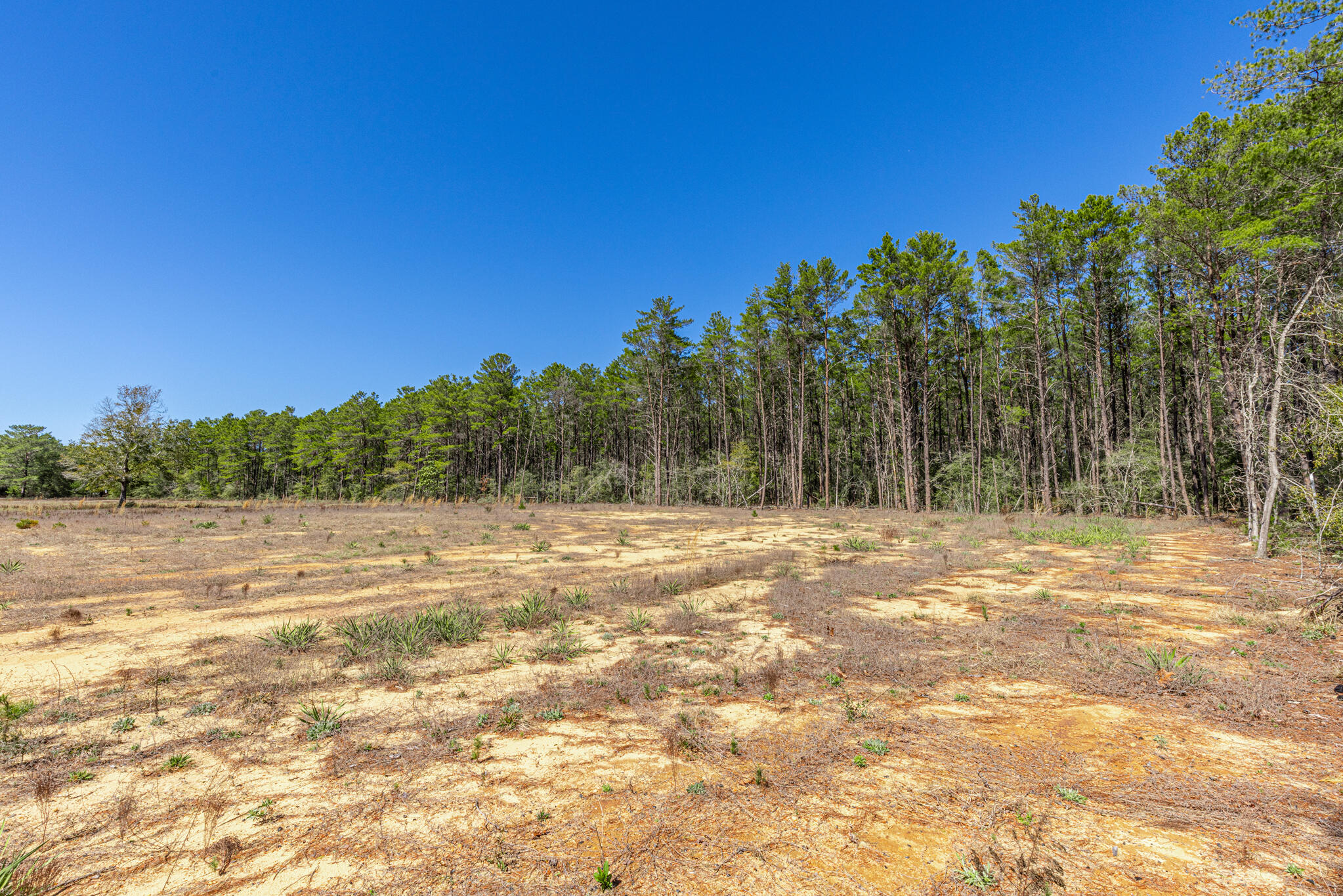 6.74 Acres Highway 90