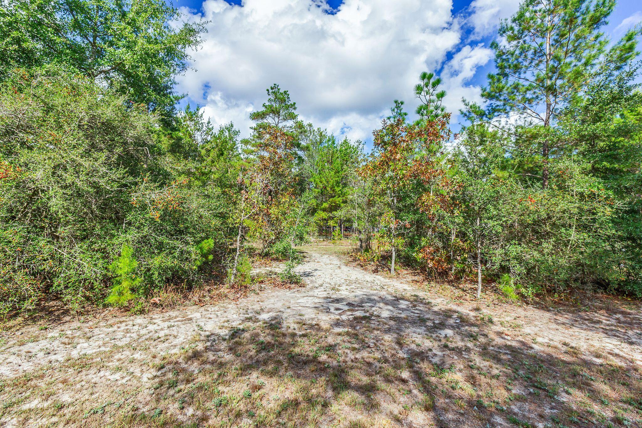416 Woodlands Boulevard, DeFuniak Springs