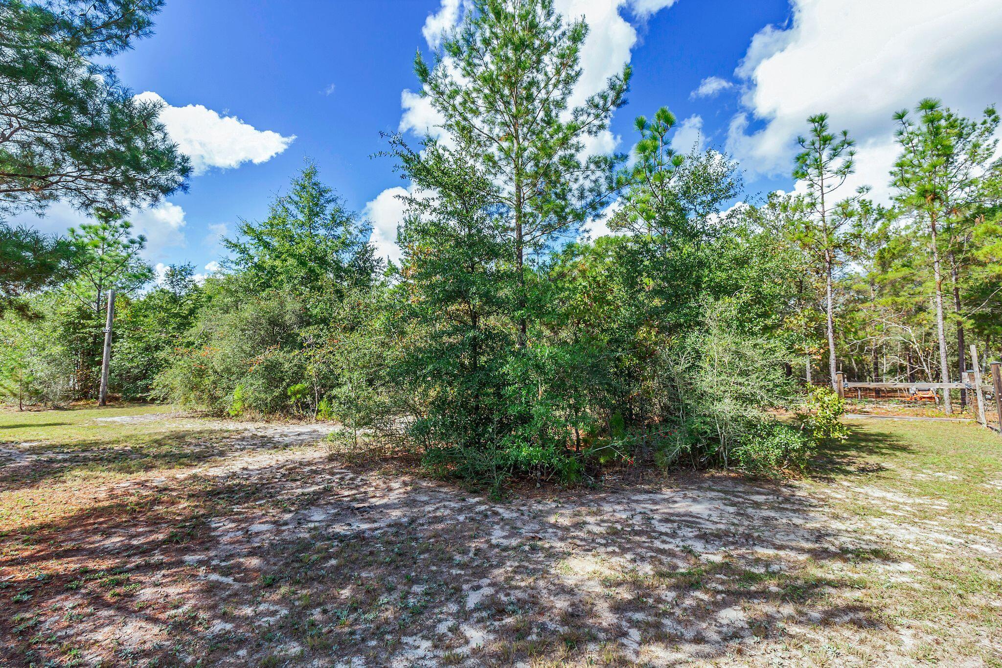 416 Woodlands Boulevard, DeFuniak Springs