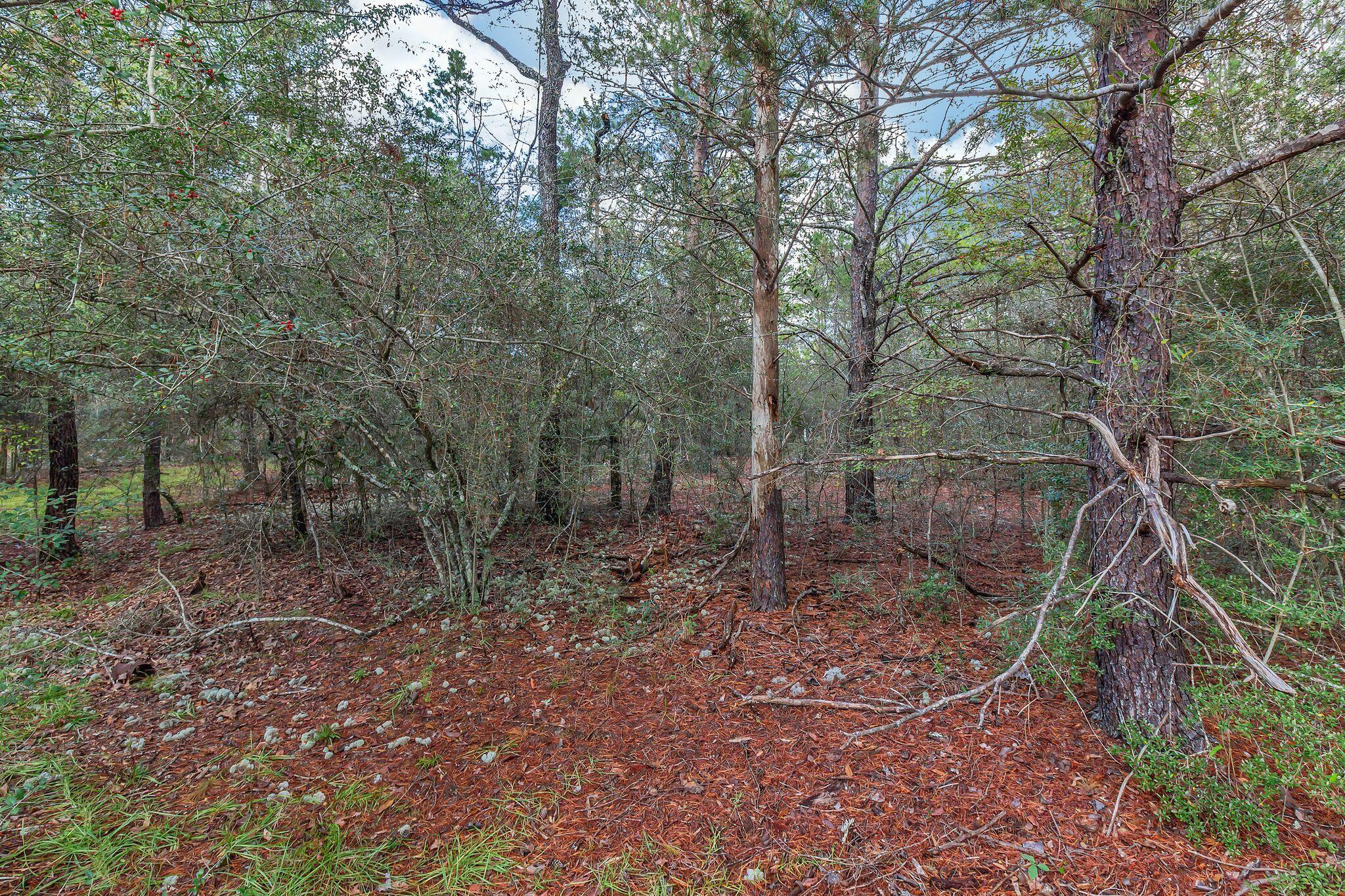 416 Woodlands Boulevard, DeFuniak Springs