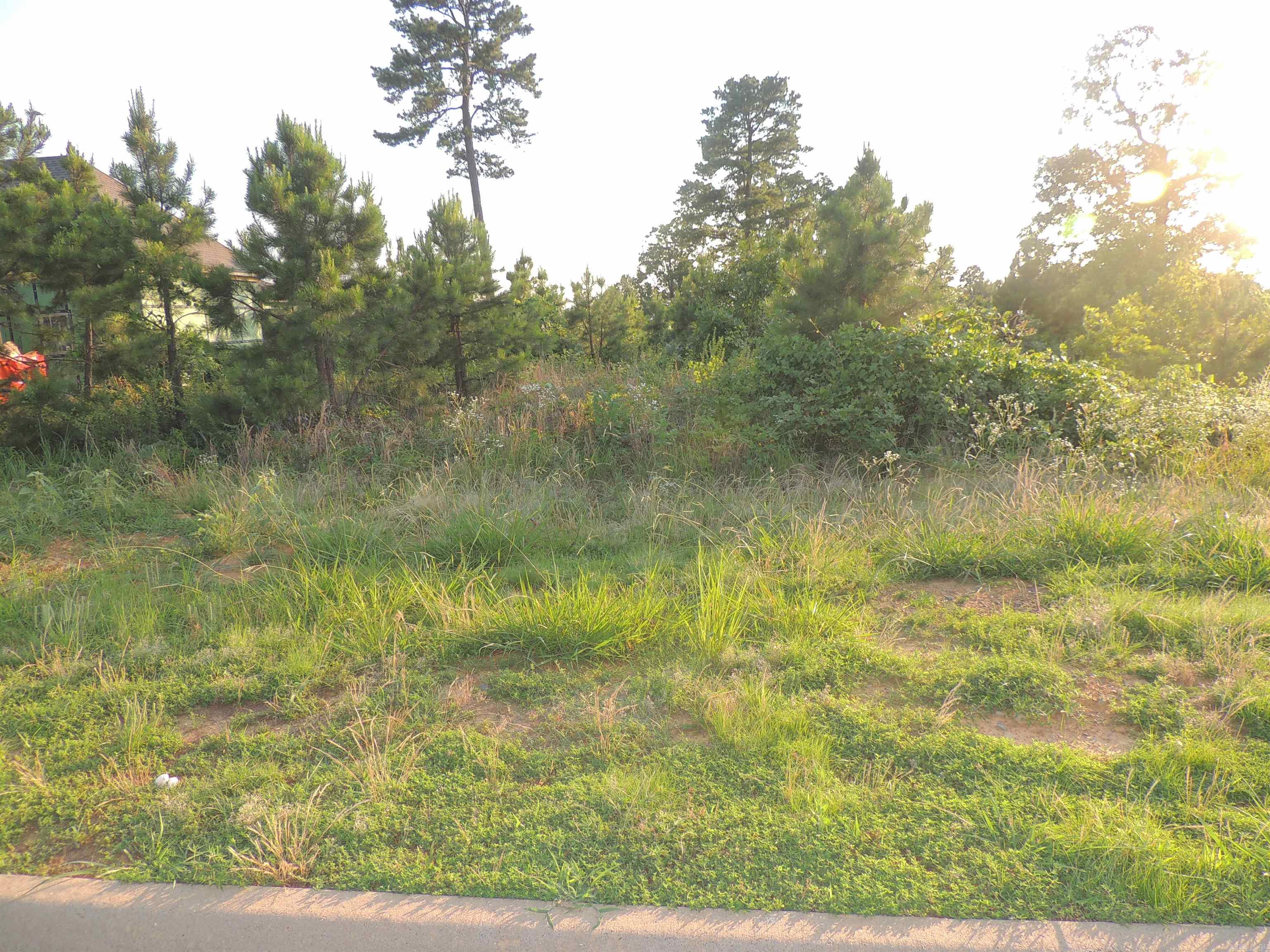 Lot 53 Summit View Lane Unit: 15700 Summit View Lane