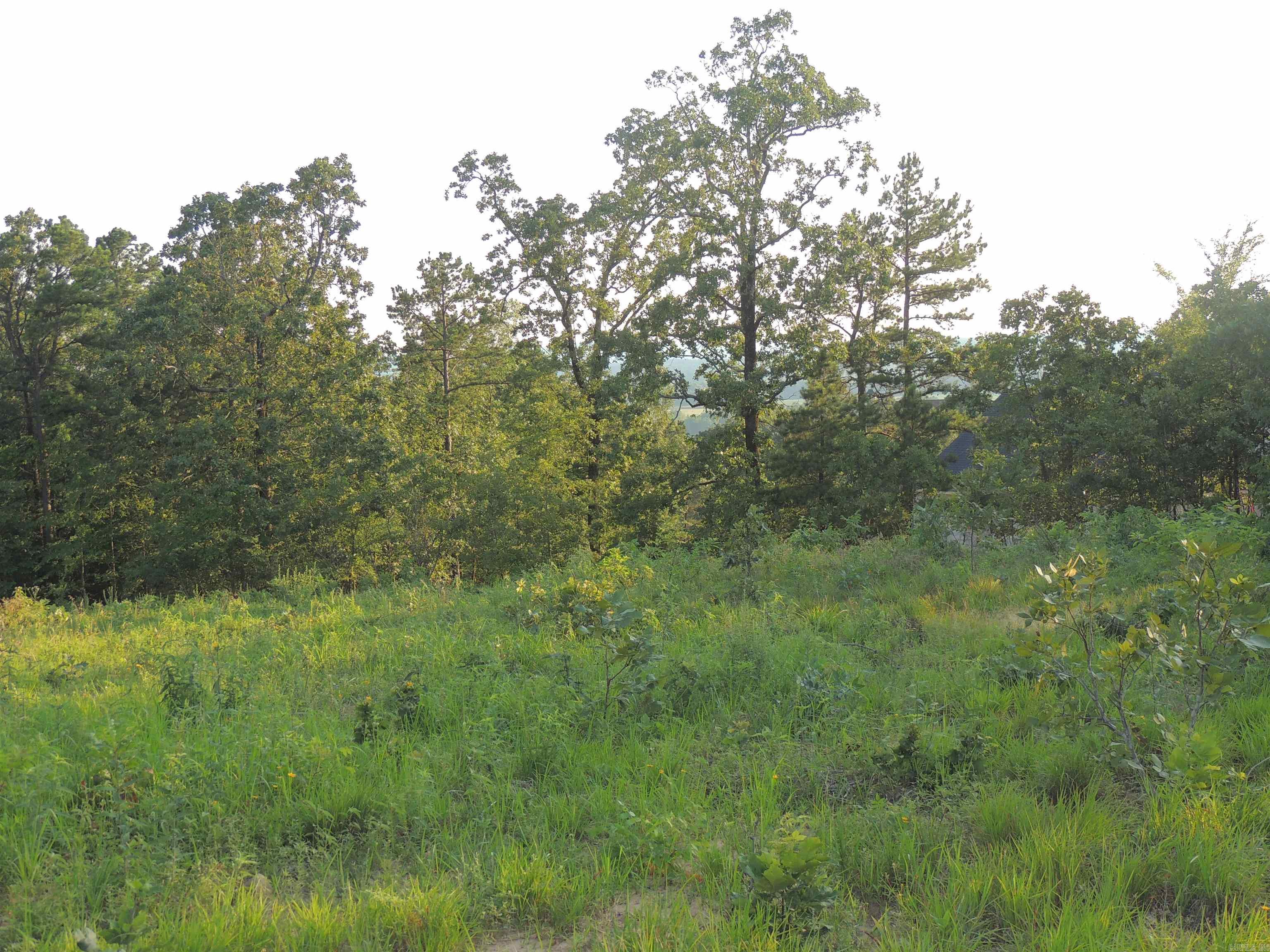 Lot 53 Summit View Lane Unit: 15700 Summit View Lane