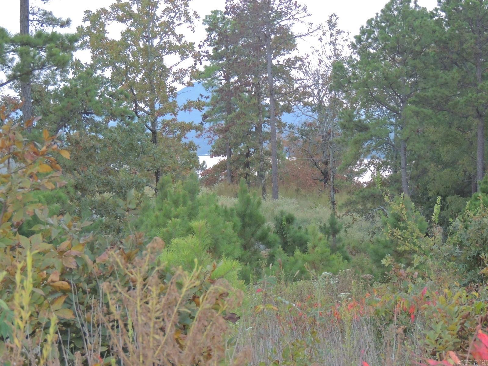 Lot 53 Summit View Lane Unit: 15700 Summit View Lane