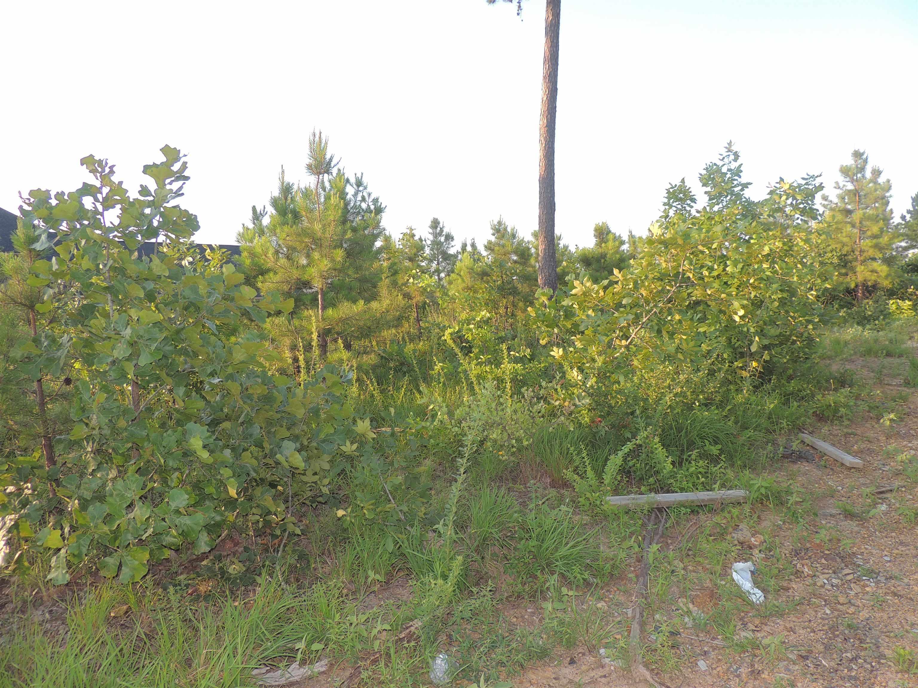 Lot 53 Summit View Lane Unit: 15700 Summit View Lane