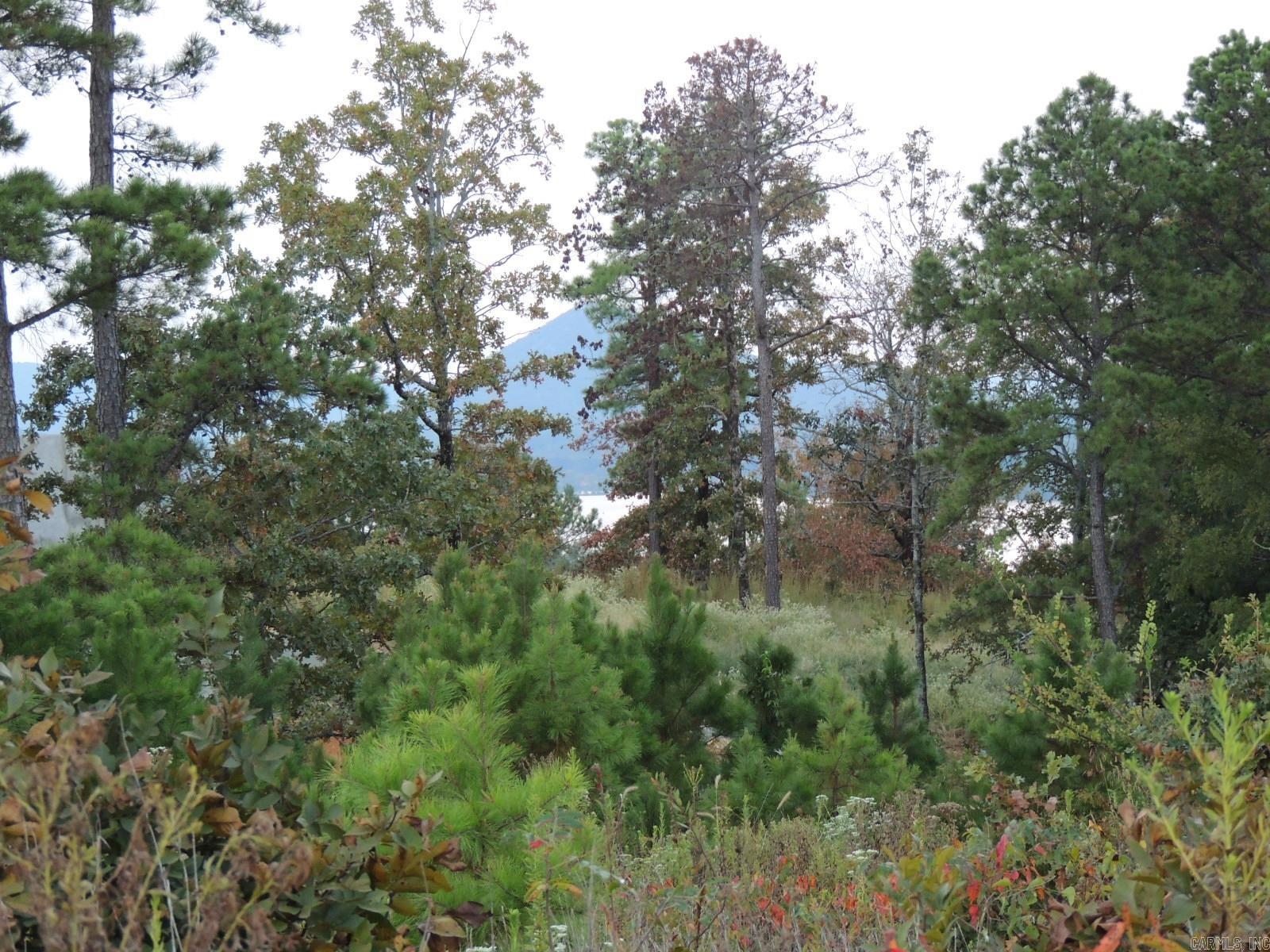 Lot 53 Summit View Lane Unit: 15700 Summit View Lane