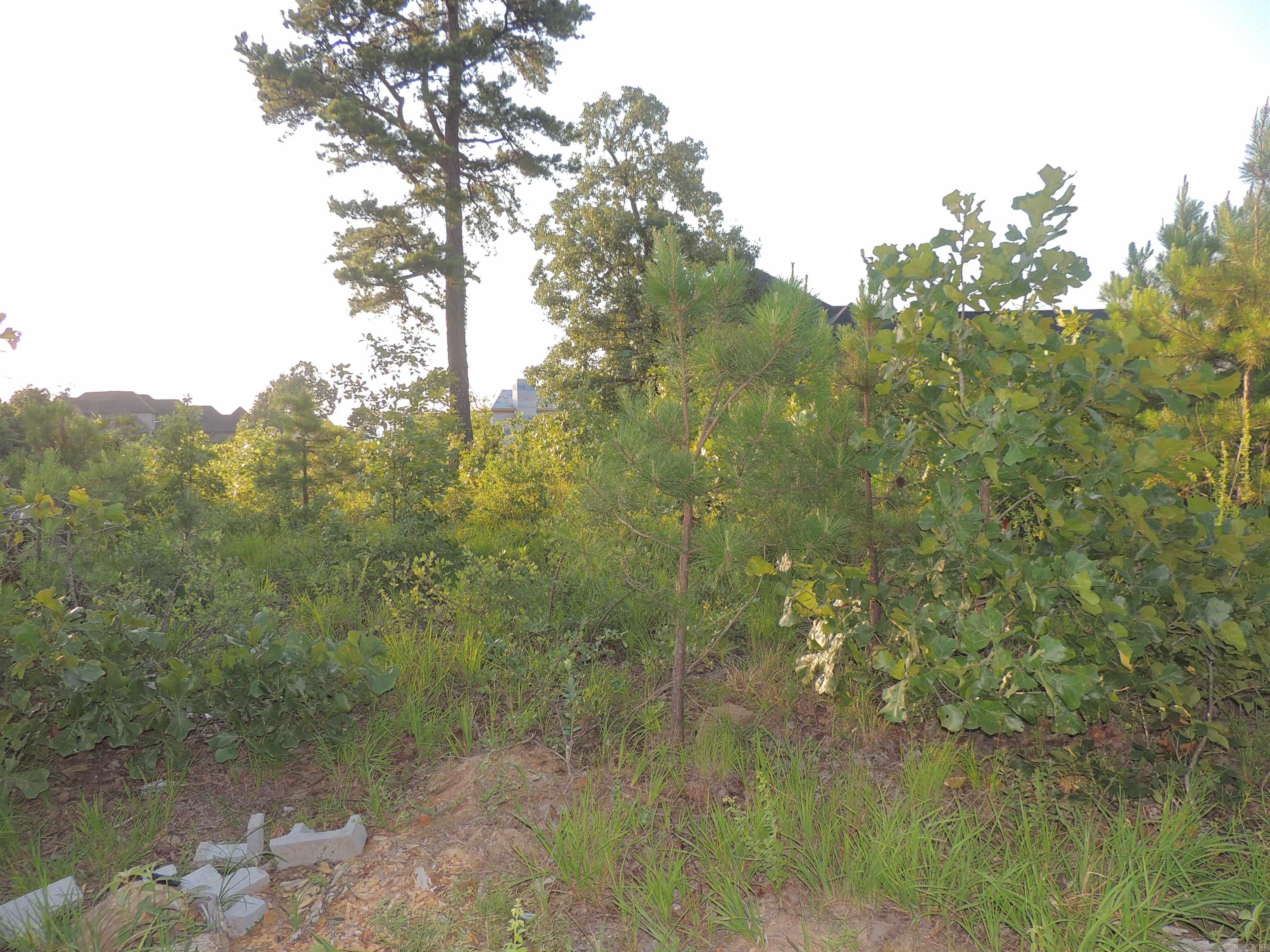 Lot 53 Summit View Lane Unit: 15700 Summit View Lane