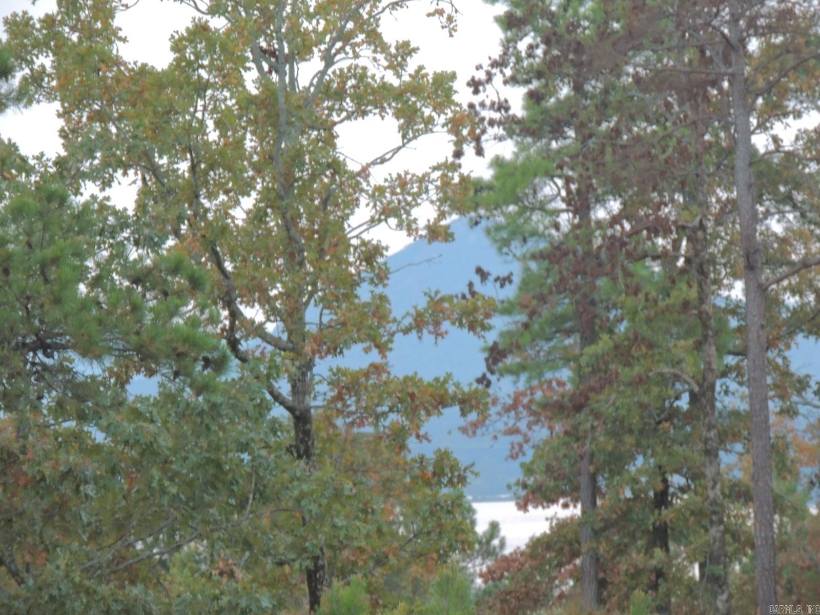 Lot 53 Summit View Lane Unit: 15700 Summit View Lane