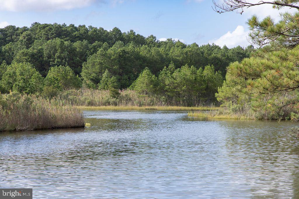 28447 Coastal Highway #2