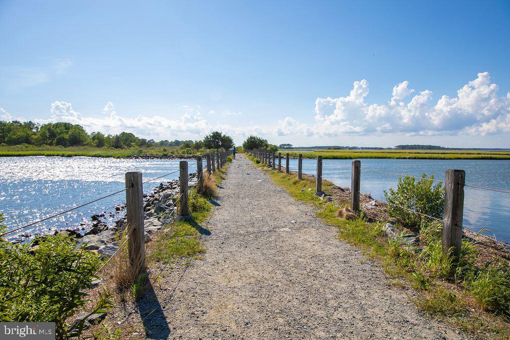 28447 Coastal Highway #2