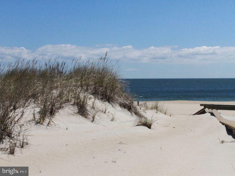 28447 Coastal Highway #6