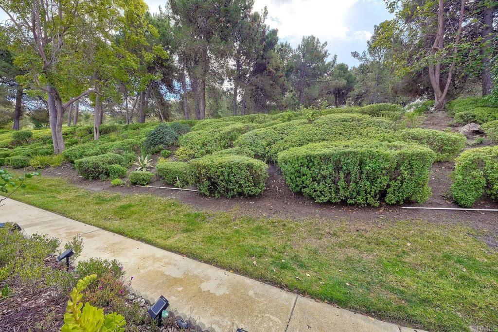 4281 Black Duck Way