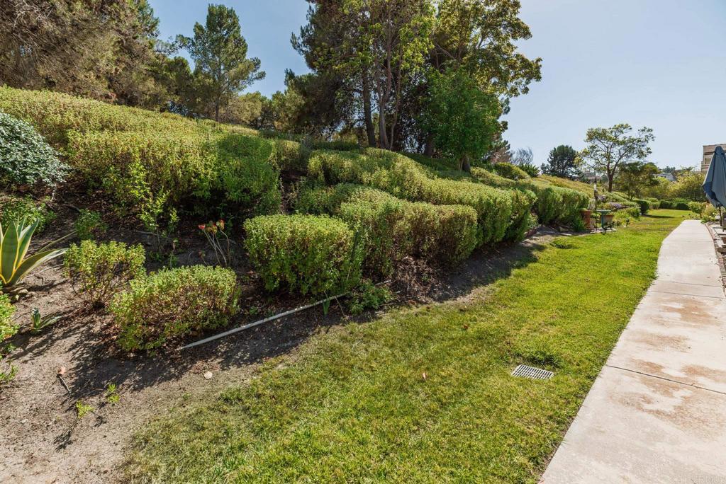 4281 Black Duck Way