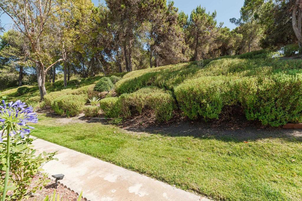 4281 Black Duck Way