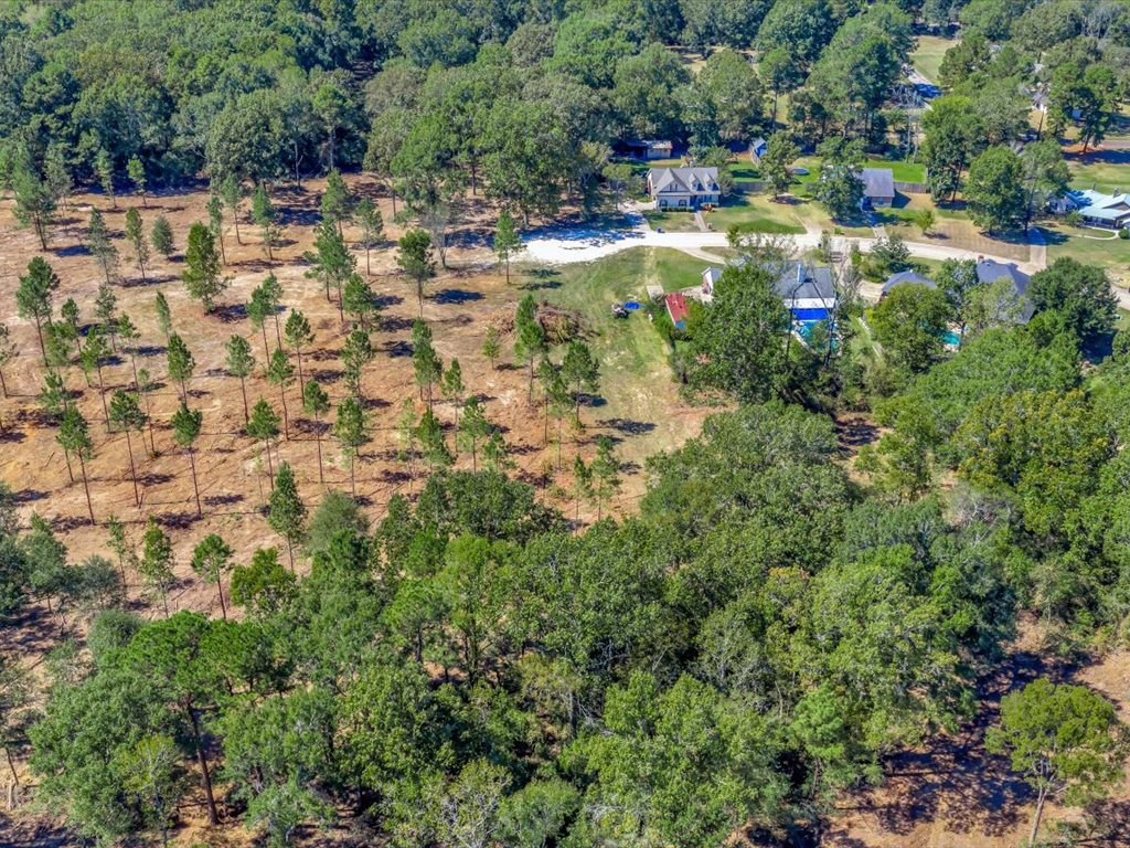 PID 32475 Austin Lane