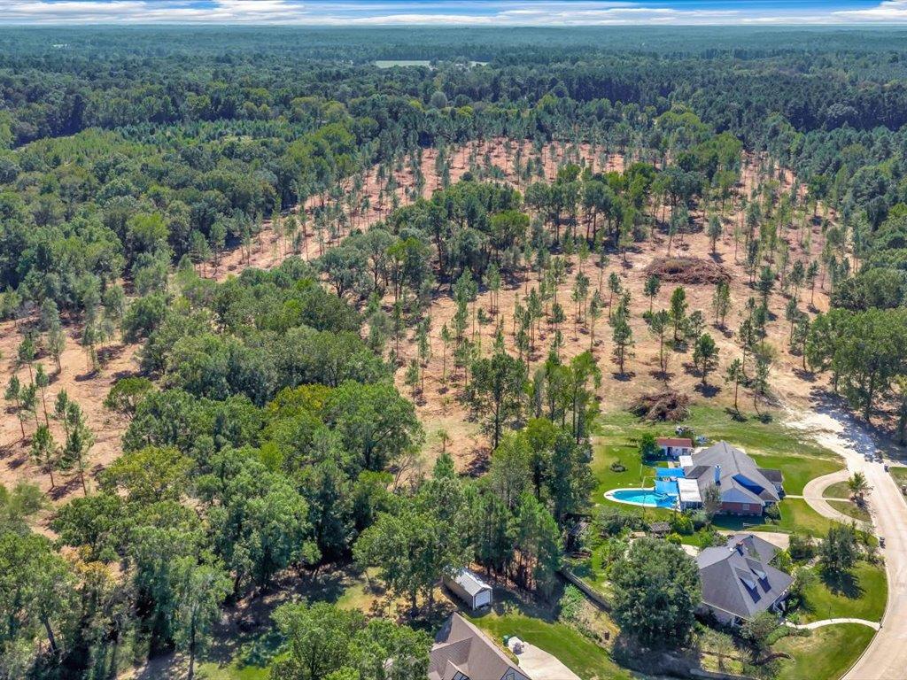 PID 32475 Austin Lane