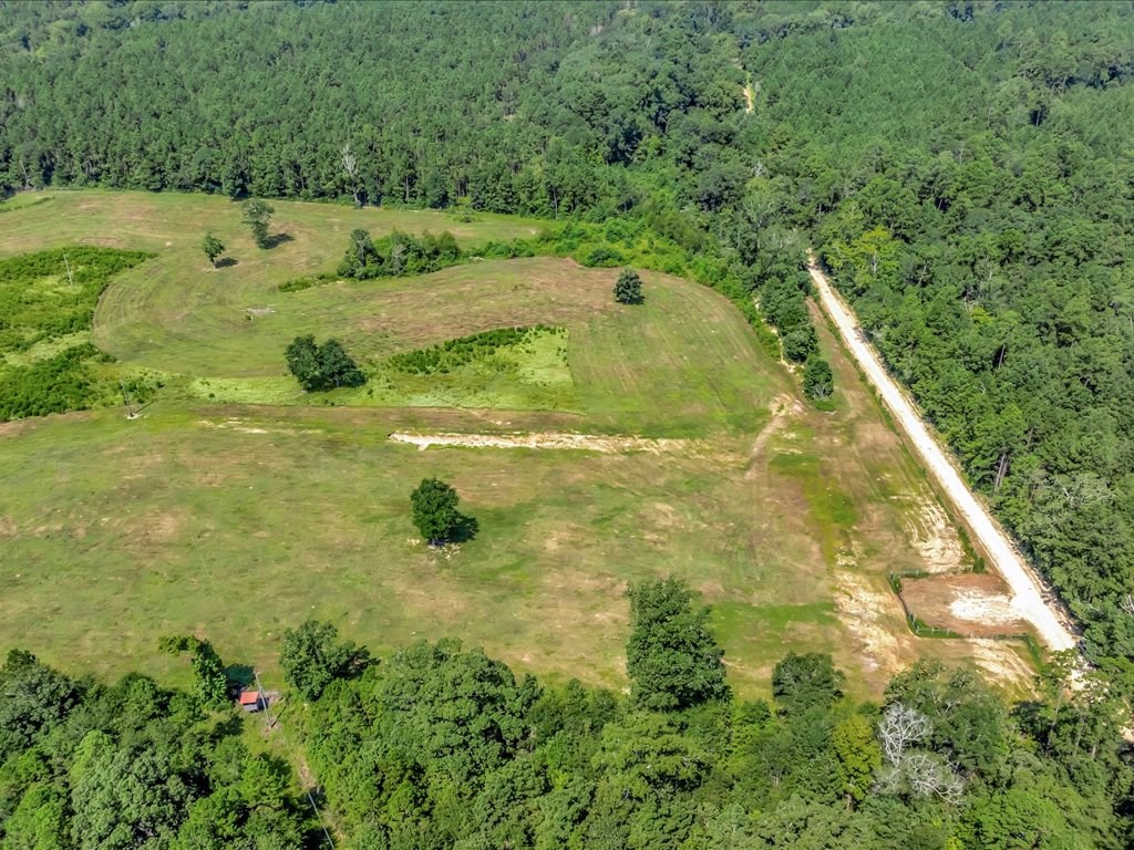 1159 Blackburn Switch Road