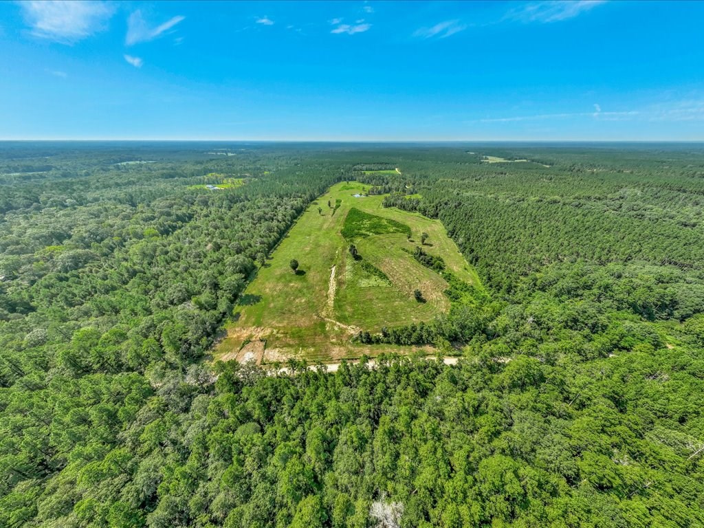 1159 Blackburn Switch Road