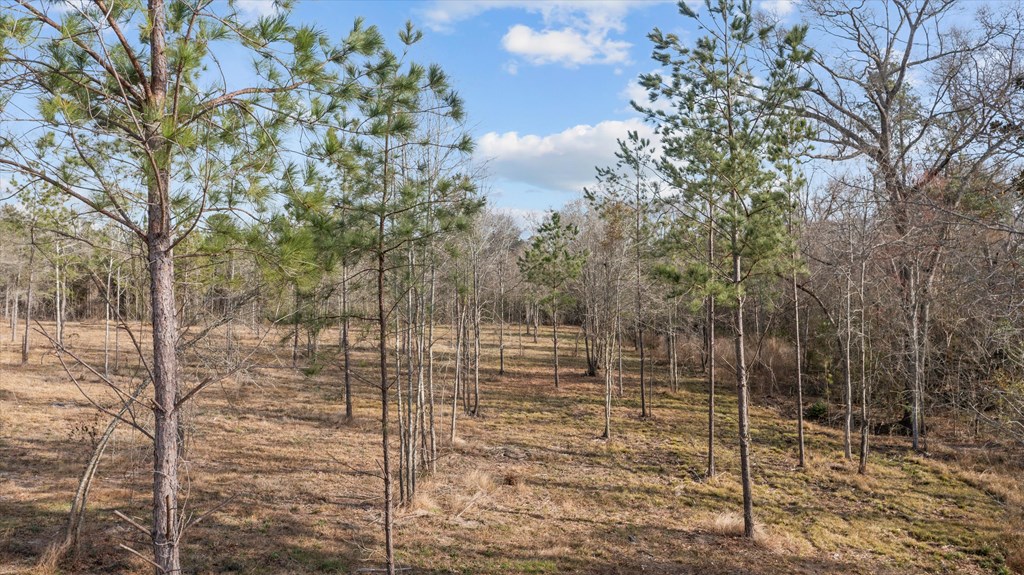 777 Stubblefield Drive