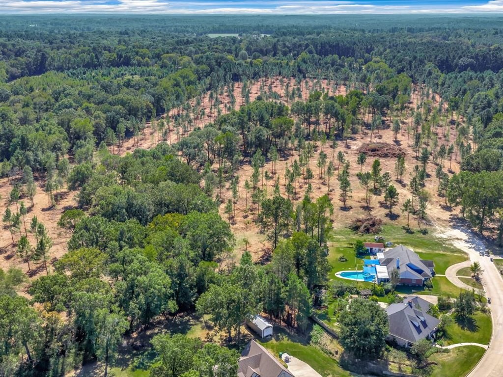 PID 32475 Austin Lane