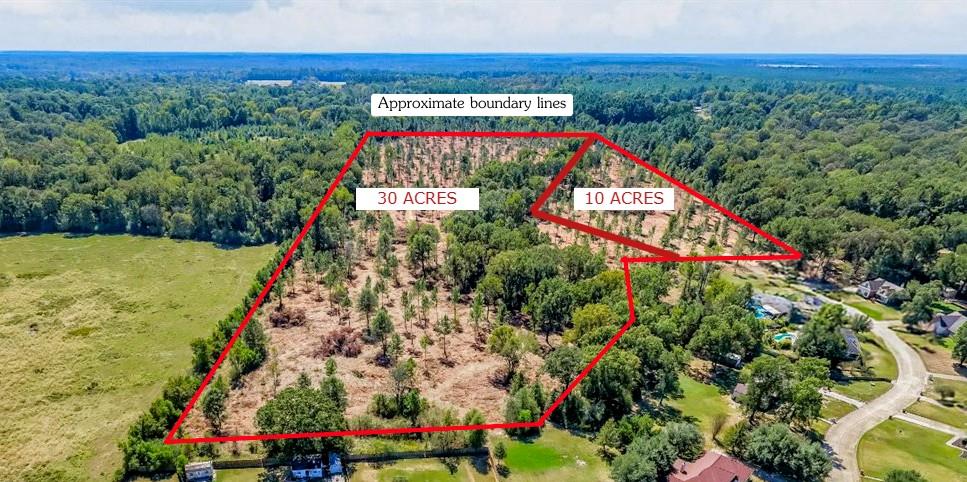 PID 32475 Austin Lane