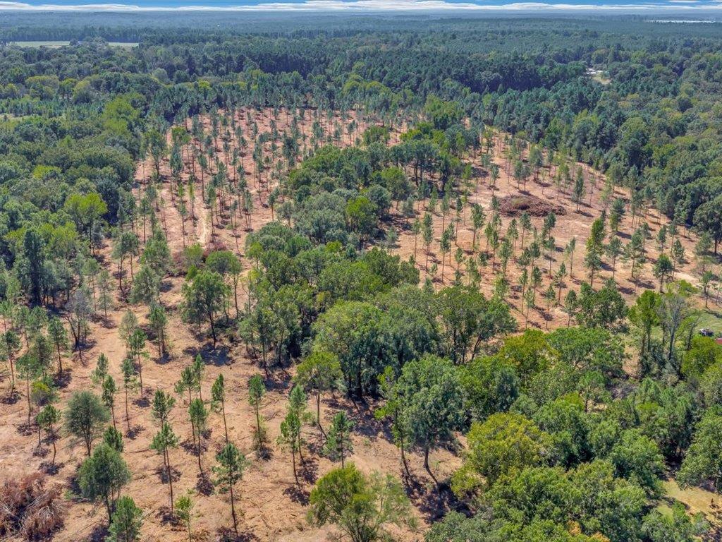 PID 32475 Austin Lane