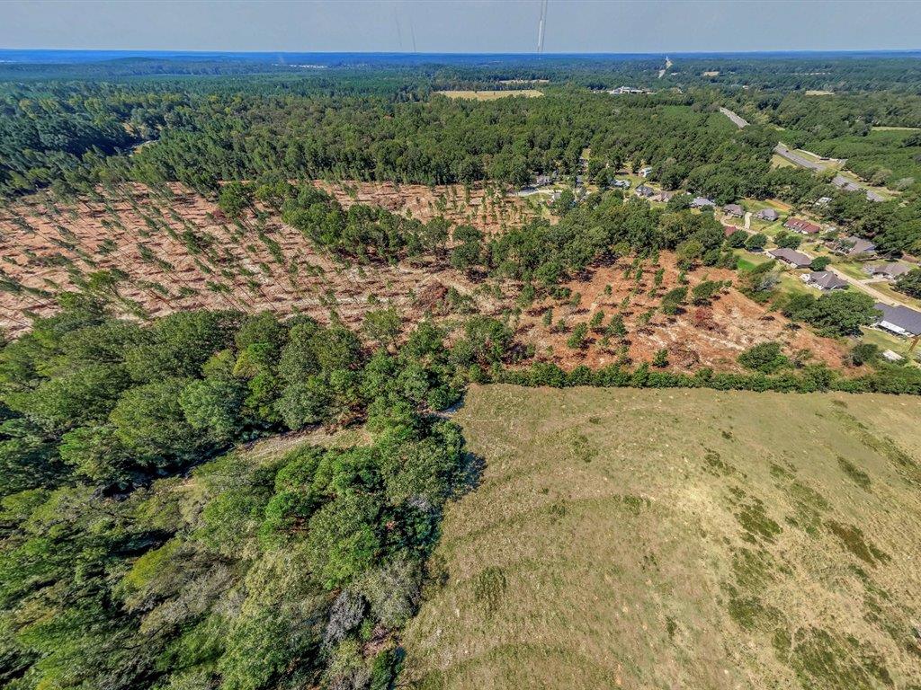 PID 32475 Austin Lane