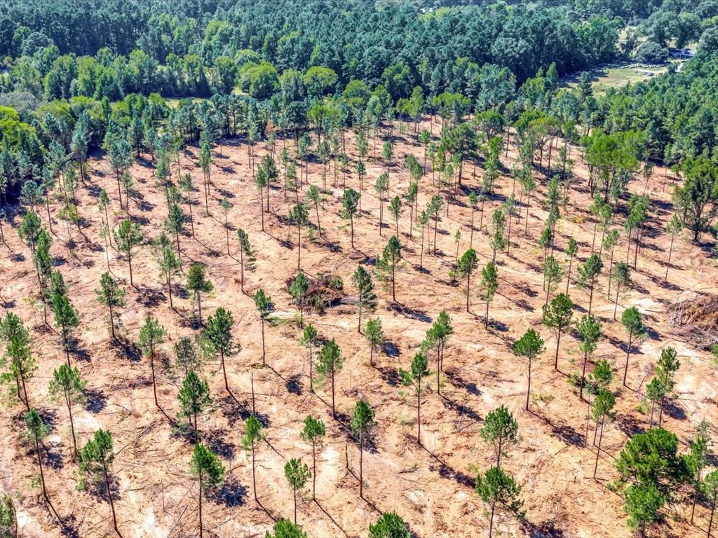 PID 32475 Austin Lane