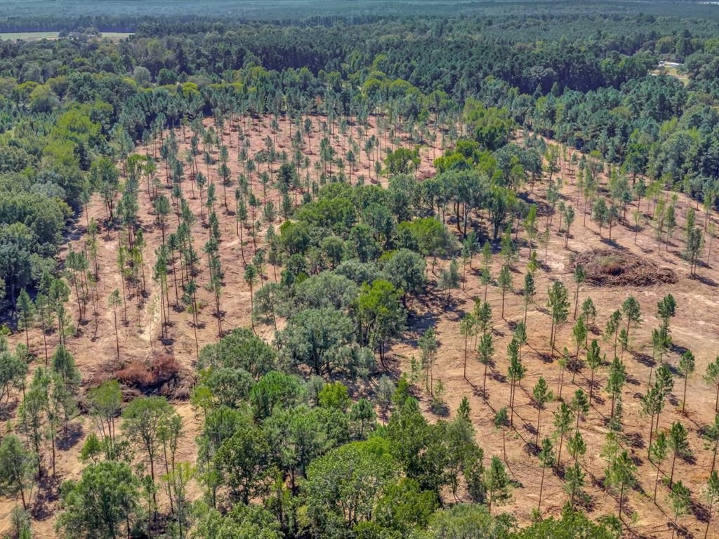 PID 32475 Austin Lane