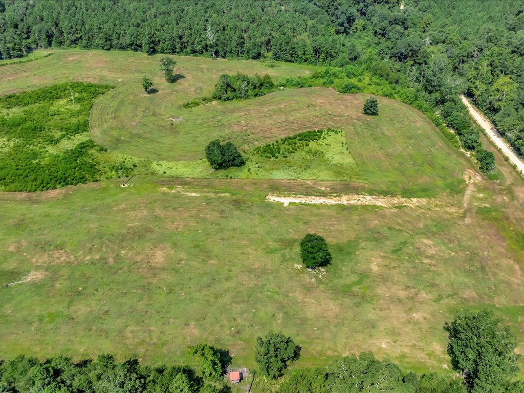 1159 Blackburn Switch Road