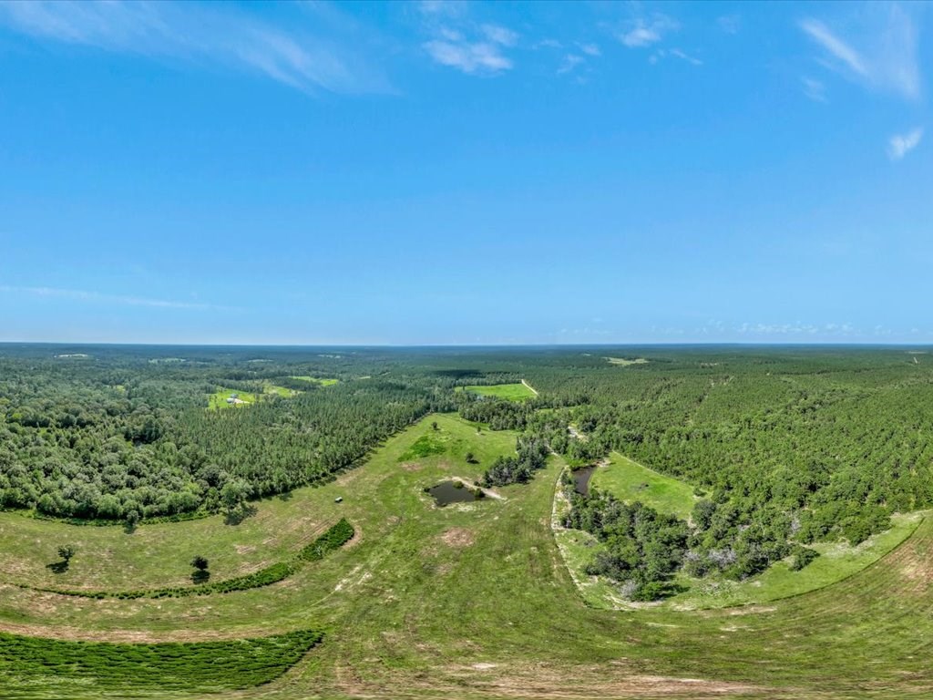 1159 Blackburn Switch Road