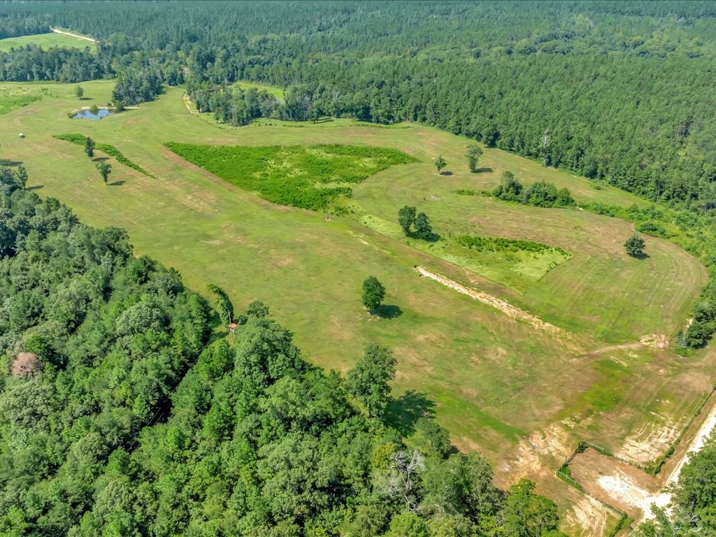 1159 Blackburn Switch Road