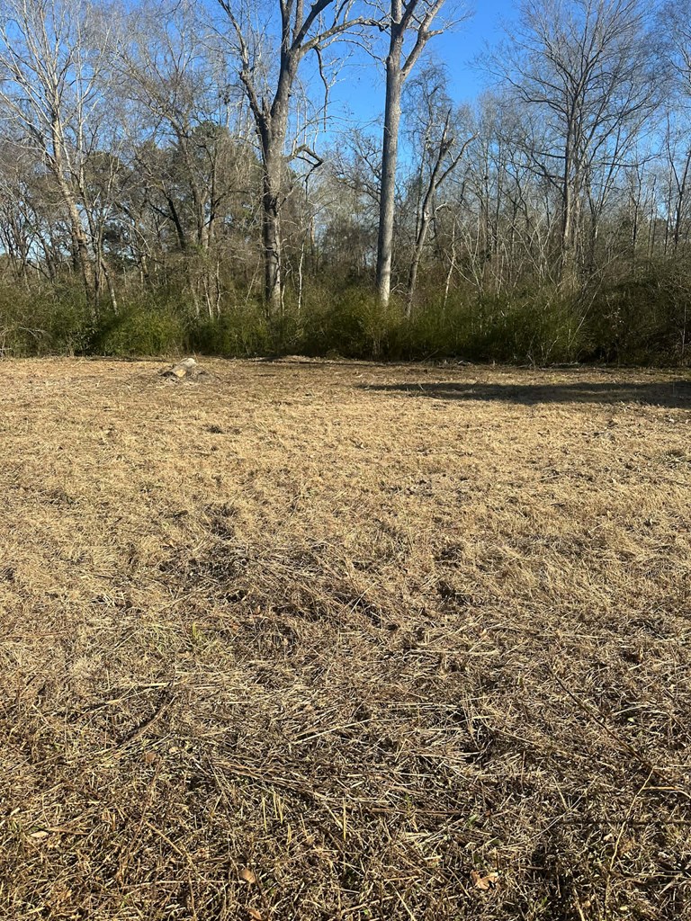 333 Oak Meadow Lane