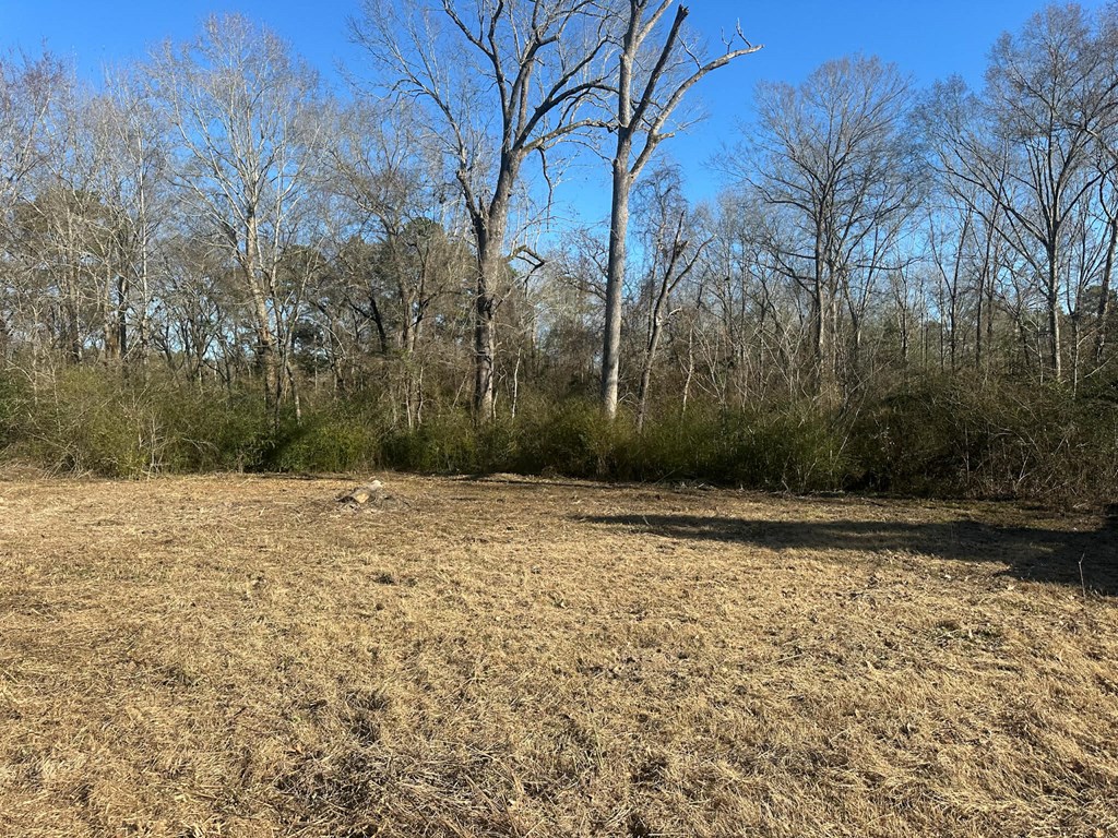 333 Oak Meadow Lane