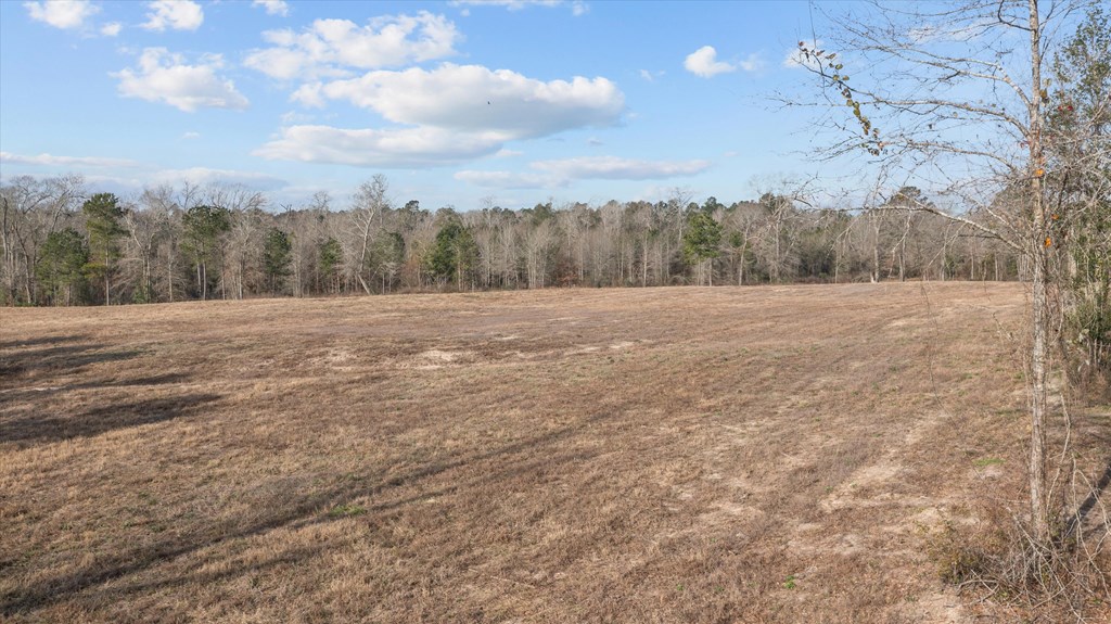 777 Stubblefield Drive