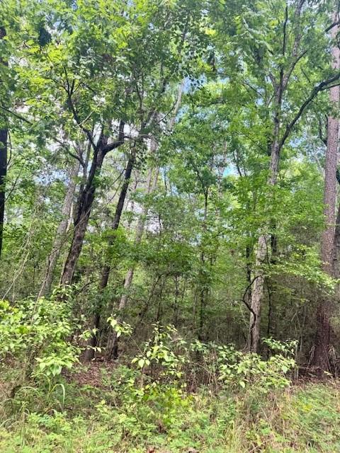 Lot 18 Elm Road