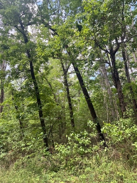Lot 20 White Oak Drive