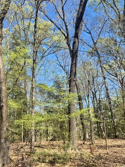 Lot 22 Red Bud Lane
