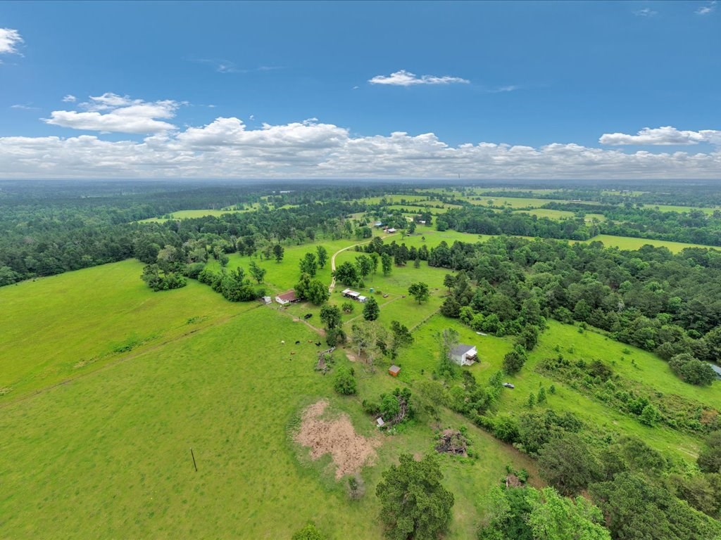 868 Bailey Road