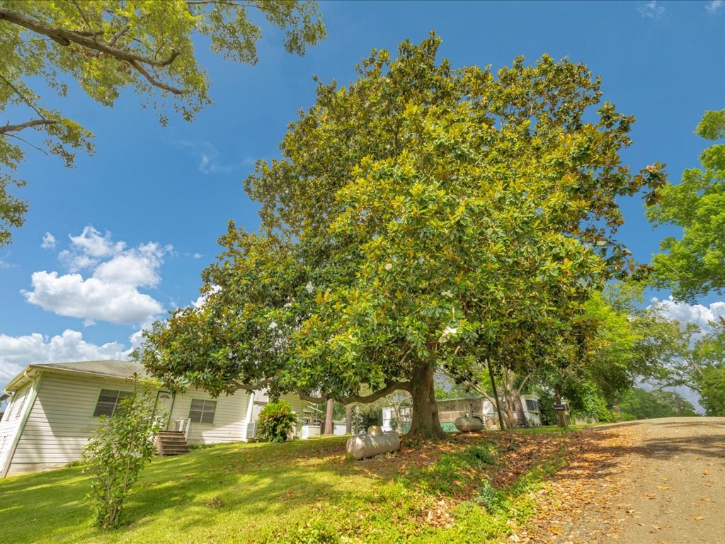 138 County Road 4754