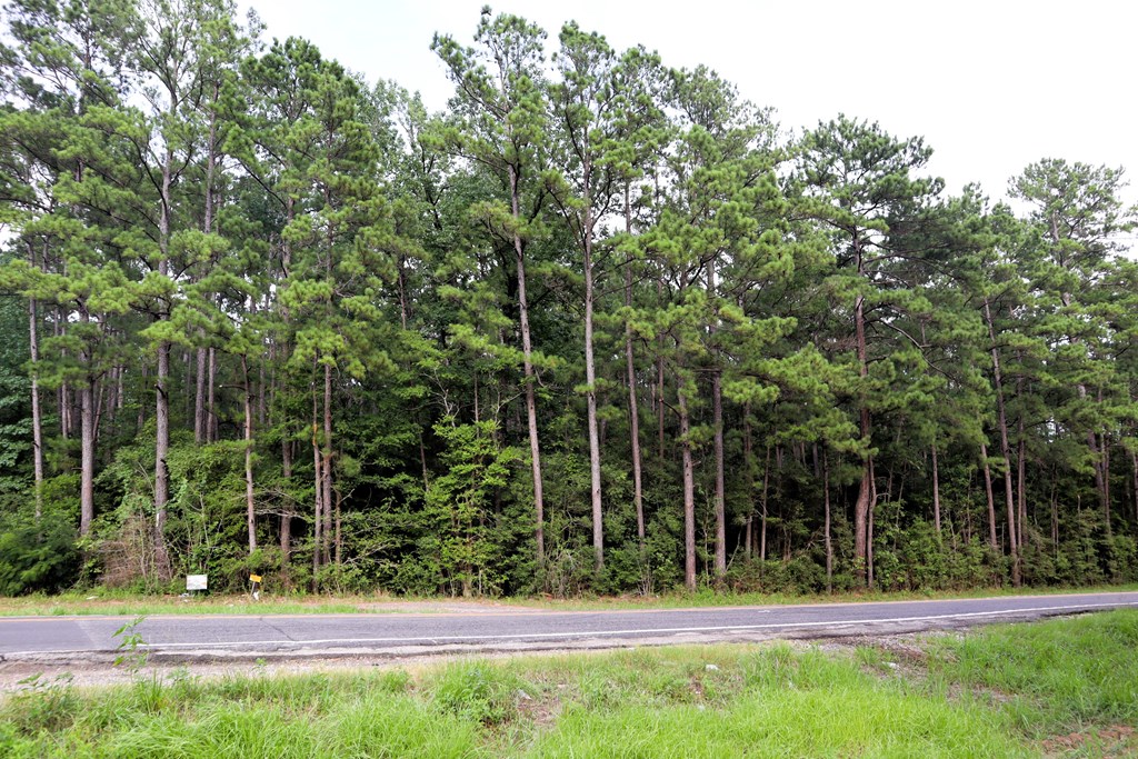 TBD Hwy 103e